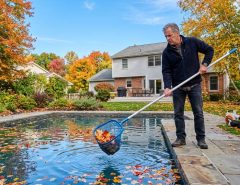 New York homeowner removing leaves from backyard swimming pool.