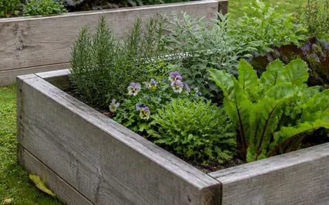 Weathered timber raised bed made from planks, filled with herbs, pansies and leafy greens